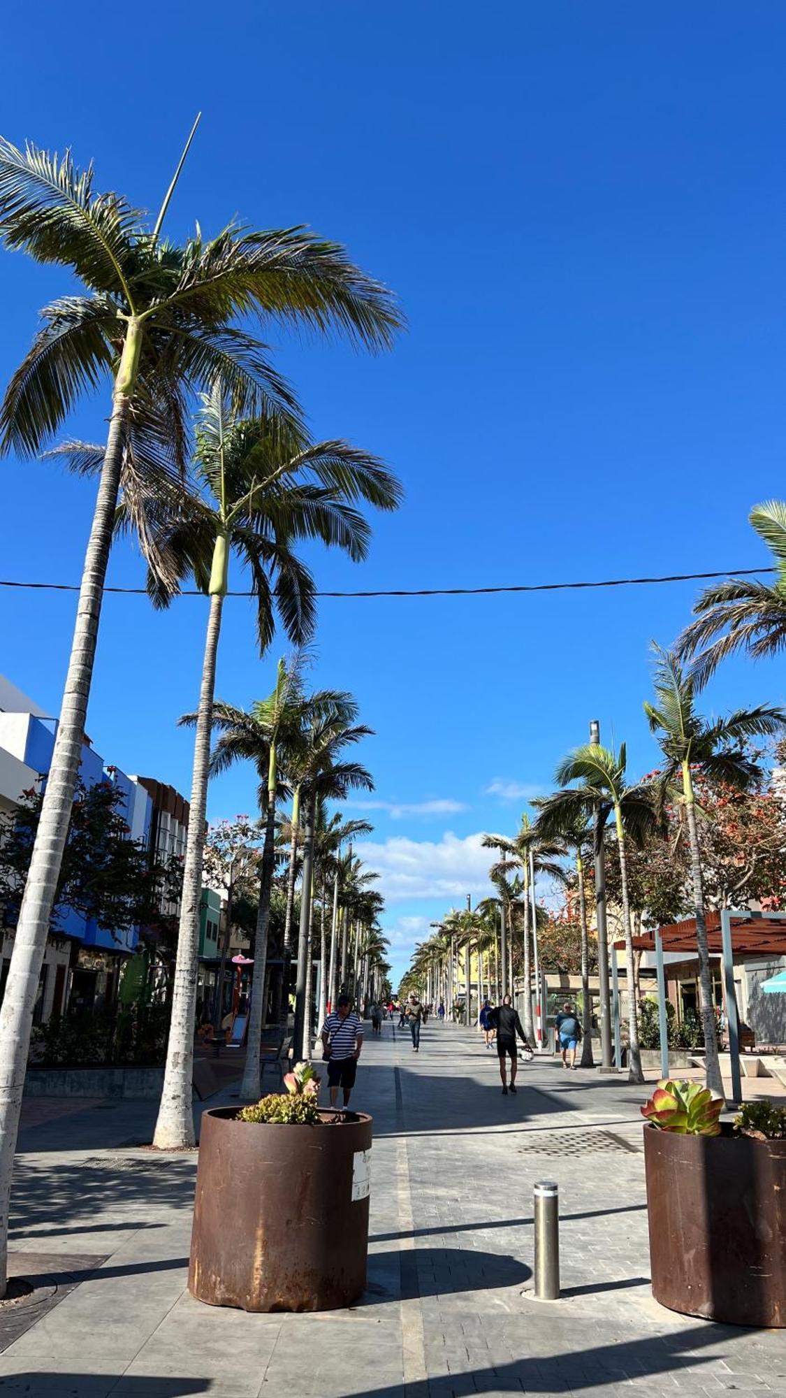 Mirame Canarias Vecindario  Buitenkant foto